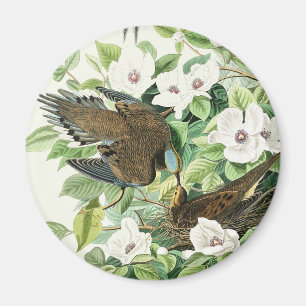 Íman Arte Floral de Pássaro do Pombo em Luto Vintage Au