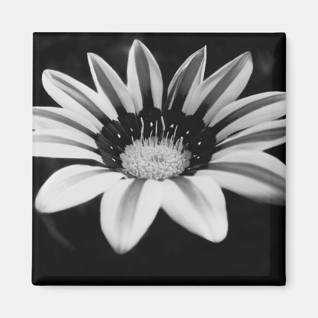 Íman Arte Floral Monocromático (Frente)