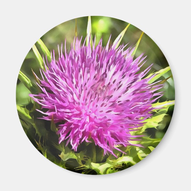 Íman Arte Floral Roxa de Flor Selvagem (Frente)