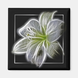 Íman Arte Fractal de Lírio Branco Impressionante Preto