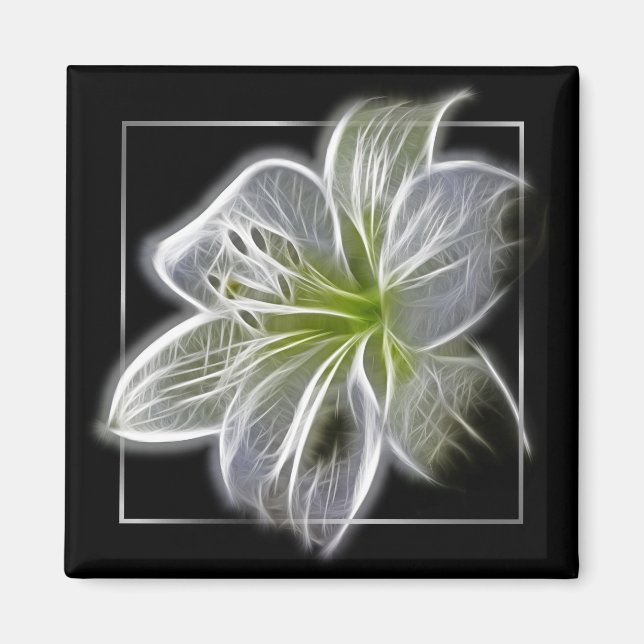 Íman Arte Fractal de Lírio Branco Impressionante Preto (Frente)