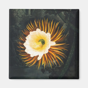 Íman Arte Gótica de Cereus Noturno Vintage