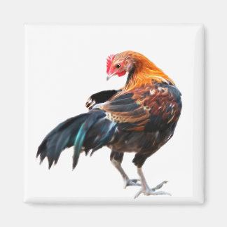 Íman Arte Luminosa em Frango