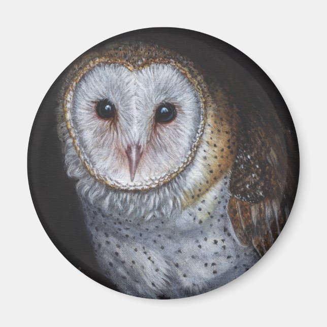 Íman Arte original de pintura do Barn Owl (Frente)