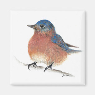 Íman Arte Pintada De Pássaro Bluebird