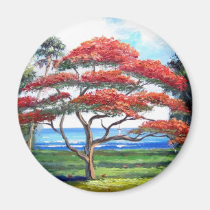 Íman Arte real da árvore de Poinciana