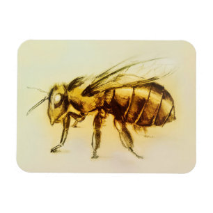 Íman Arte realística do zangão amarelo, ímã da foto