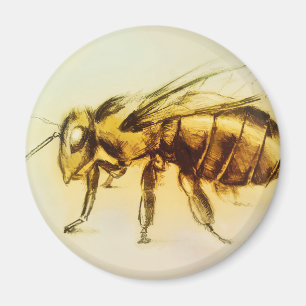 Íman Arte realística do zangão amarelo, ímã redondo