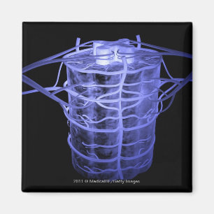 Íman Artérias que circundam parte da coluna vertebral