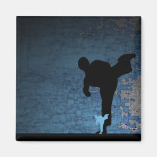 Íman artes marciais: shadowstance