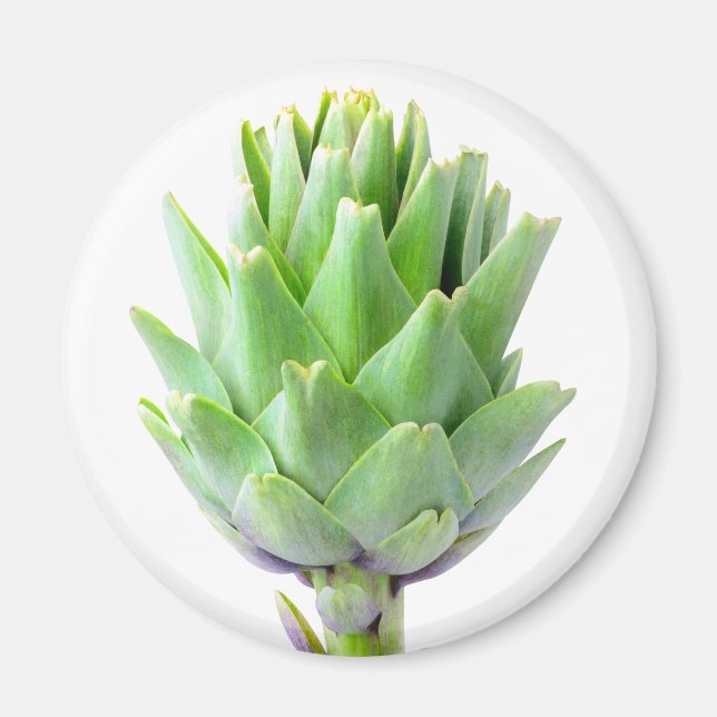 Íman Artichoke (Frente)