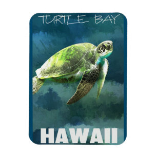 Íman Artista de Tartaruga do Mar Havaí