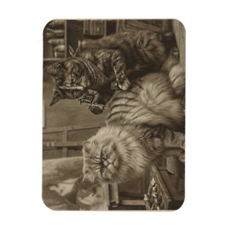 Íman Artista de Tatuagem de Gato Sepia Vintage – Vitori