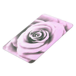 Íman Artistic Pink Rose  rb