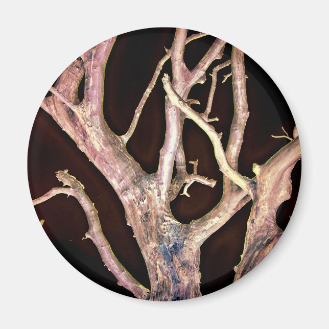 ÍMAN ÁRVORE (Frente)