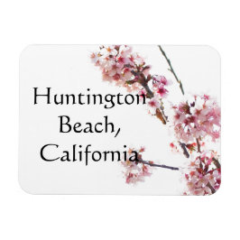 Íman Árvore cerejeira na praia de Huntington, Califórni