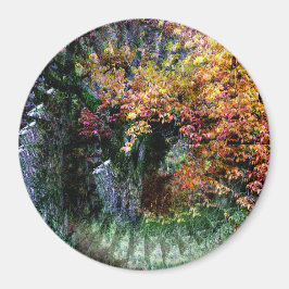 Íman Árvore de Carvalho Antiga.......