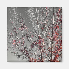 Íman Árvore de esperança