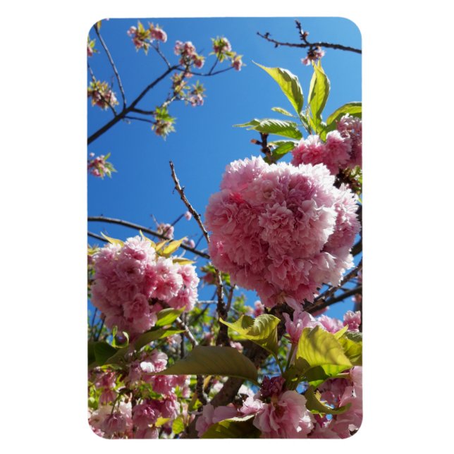 Íman Árvore de Flor Rosa-Cereja Selvagem (Vertical)