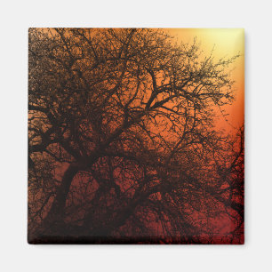 Íman Árvore de inverno de Silhueta Sunset