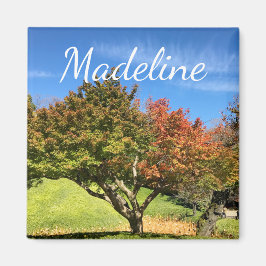 Íman Árvore de Mapeamento Colorida no outono