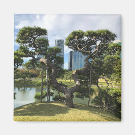 Íman Árvore de pinos pretos exclusiva