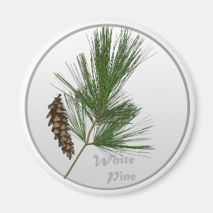 Íman Árvore de White Pine