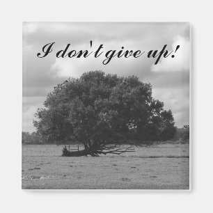 Íman Árvore do ímã do quadrado da vida