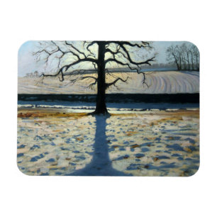 Íman Árvore e Shadow Calke Abbey Derbyshire