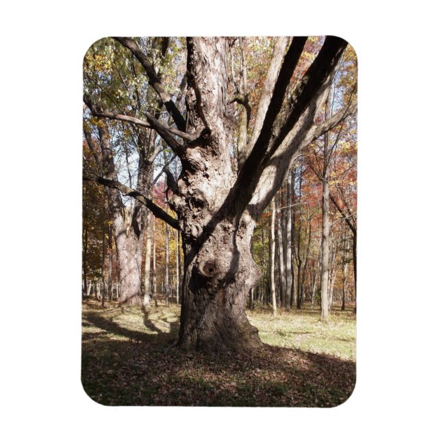Íman Árvore Estranha (Vertical)