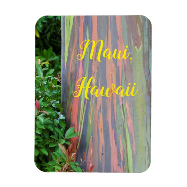 Íman Árvore Eucalipto Arco-íris Maui, Havaí (Vertical)