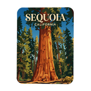 Íman Árvore General Sherman, Parque Nacional Sequoia EU