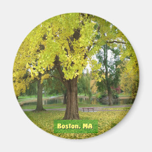 Íman Árvore Gingko Amarela