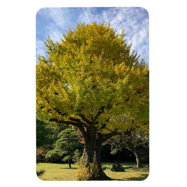 Íman Árvore Ginkgo de Amarelo Ouro (Vertical)