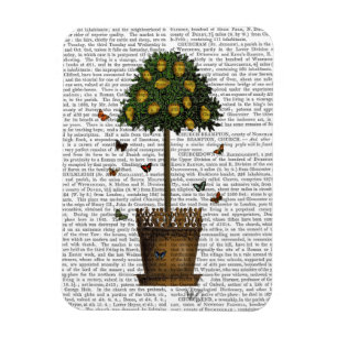 Íman Árvore Limão