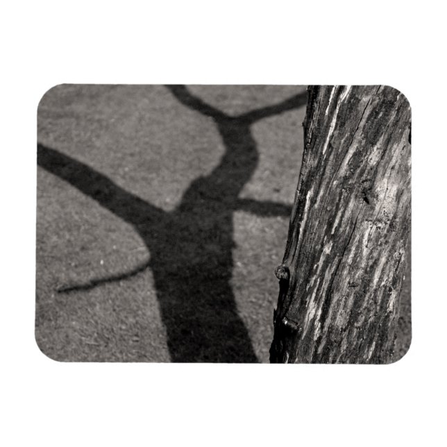 Íman árvore morto (Horizontal)