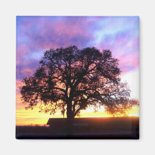 Íman Árvore no ímã do por do sol