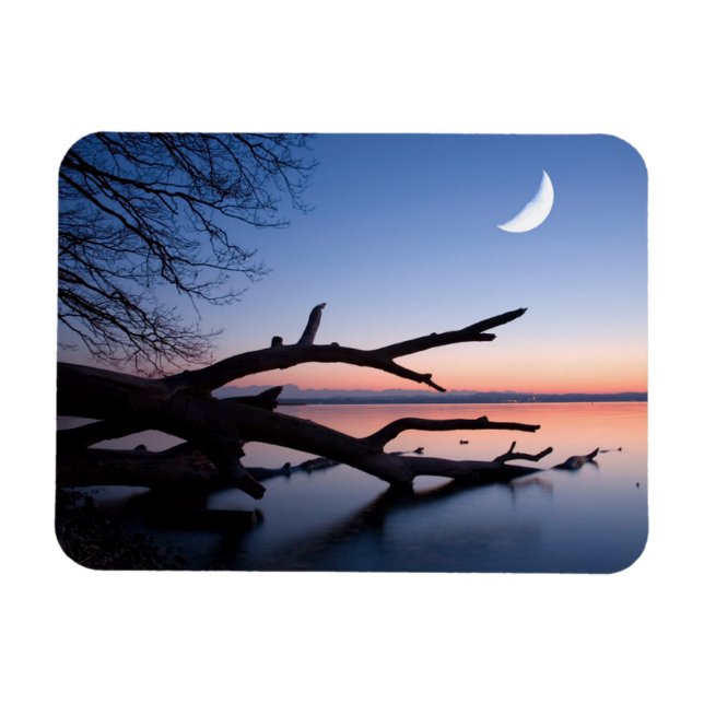 Íman Árvore no Lago Starnberg | Muensing Baviera Aleman (Horizontal)