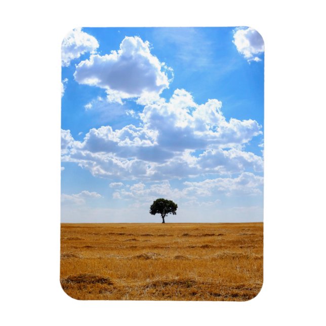 Íman Árvore num campo de trigo colhido (Vertical)