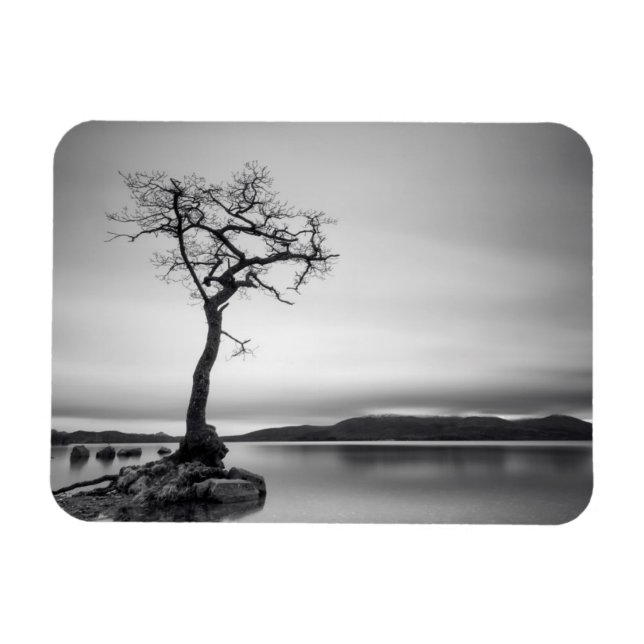 Íman Árvore solitário (Horizontal)