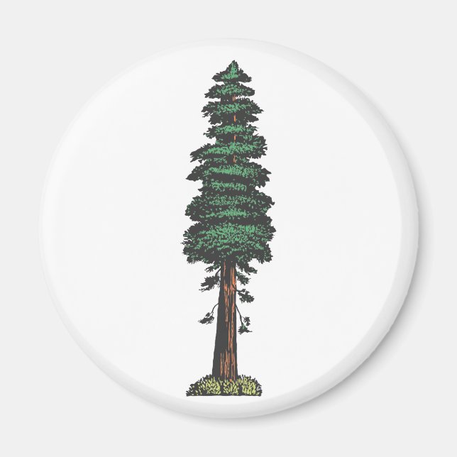 Íman Árvore tree sequoia (Frente)