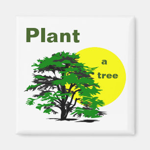 Íman Árvore Verde e Sol Amarelo, Plante uma Árvore