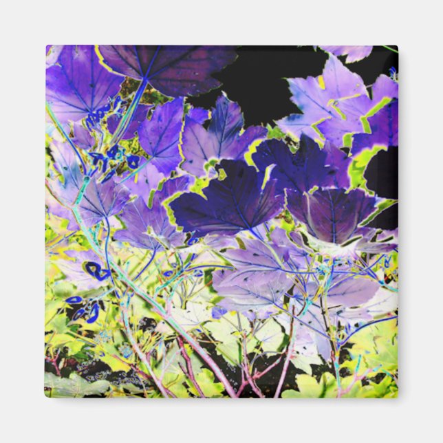 ÍMAN ÁRVORES (Frente)