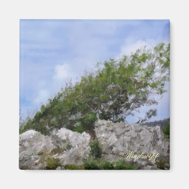 ÍMAN ÁRVORES (Frente)