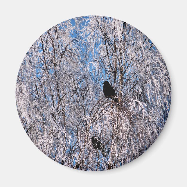 ÍMAN ÁRVORES (Frente)