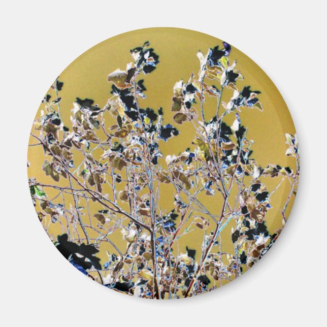 ÍMAN ÁRVORES (Frente)