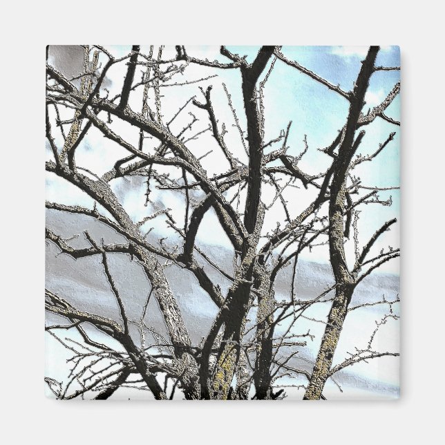 ÍMAN ÁRVORES (Frente)