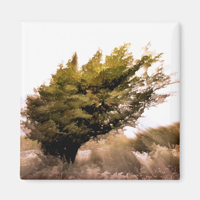 ÍMAN ÁRVORES (Frente)