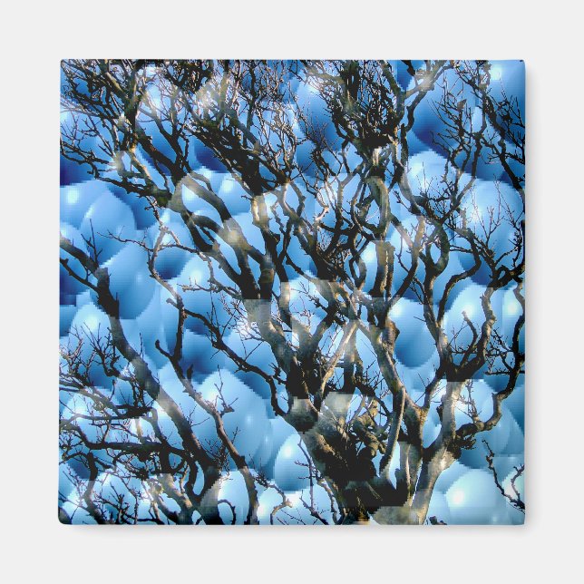 ÍMAN ÁRVORES (Frente)