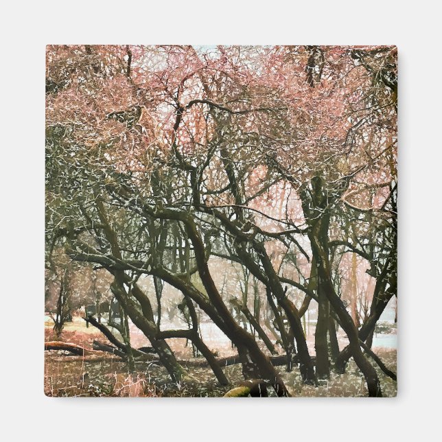 ÍMAN ÁRVORES (Frente)